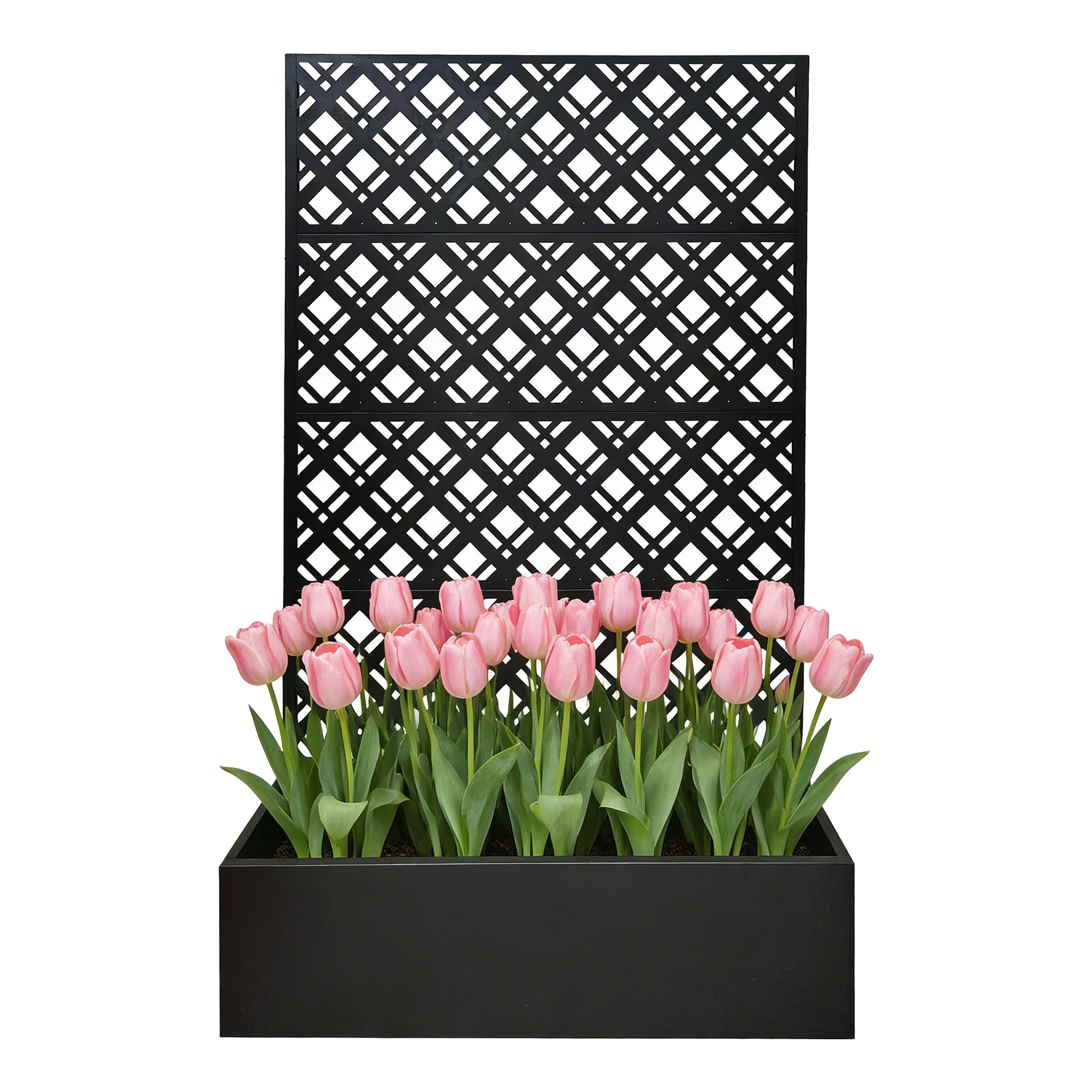 Tall Trellis Planter Box - Black Iron