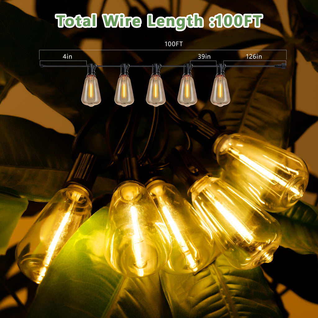 Outdoor String Lights detail