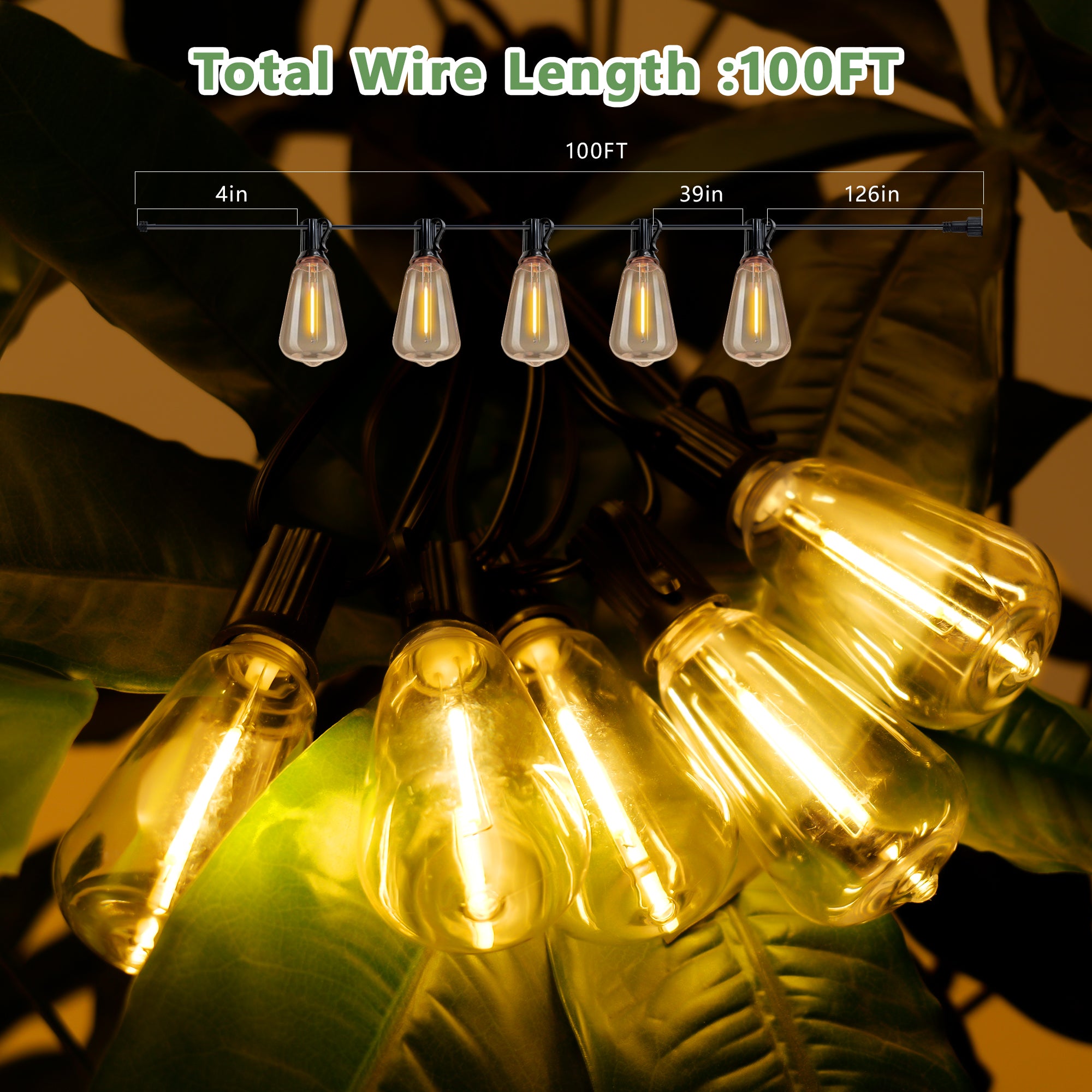 Outdoor String Lights detail
